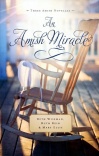 An Amish Miracle