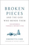 Broken Pieces and the God Who Mends Them, Lessons Learned on Mental Illness