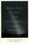 When Pain Is Real and God Seems Silent, Finding Hope in the Psalms