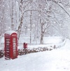 Christmas Cards - Snowy scene with Telephone Box - pack 4