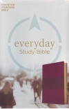 CSB - Everyday Study Bible, Wine Burnish, 