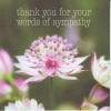 Thank you Sympathy Cards - Thank You for your Words of Sympathy 5810  - Pack of 5