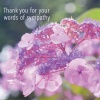 Thank You Sympathy Cards - Thank You for your Words of Sympathy 5848  - Pack of 5