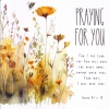 Card - Praying for You - Yellow Poppies 