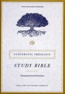 ESV Systematic Theology Study Bible, Brown Cordovan, TruTone Edition