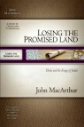 Losing the Promised Land, 2 Kings & 2 Chronicles - Study Guide