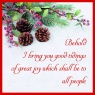 Christmas Cards - Behold I Bring You Good Tidings - Pack of 10 - CMS