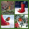 Christmas Cards - Four Robins with Green Border - Pack of 10 - CMS - E2014