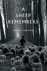 A Sheep Remembers, Psalm 23