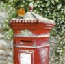 Christmas Cards - Post Box Robins - Pack of 10 Cards - CMS