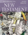 Introducing the New Testament (3rd Edition)