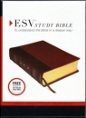 ESV - Study Bible (Cowhide, Brown/Chestnut, Vintage Design)