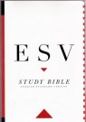 ESV - Study Bible Personal Size - Paperback
