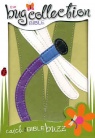 NIV Bug Collection Bible - Dragonfly - Duo Tone